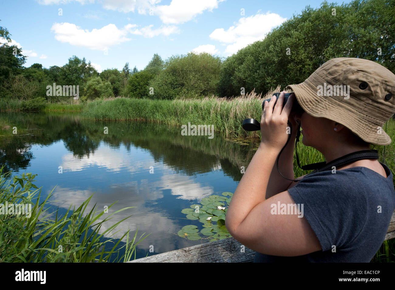 Mujer birdwatching Barnes, Londres, Gran Bretaña. Foto de stock