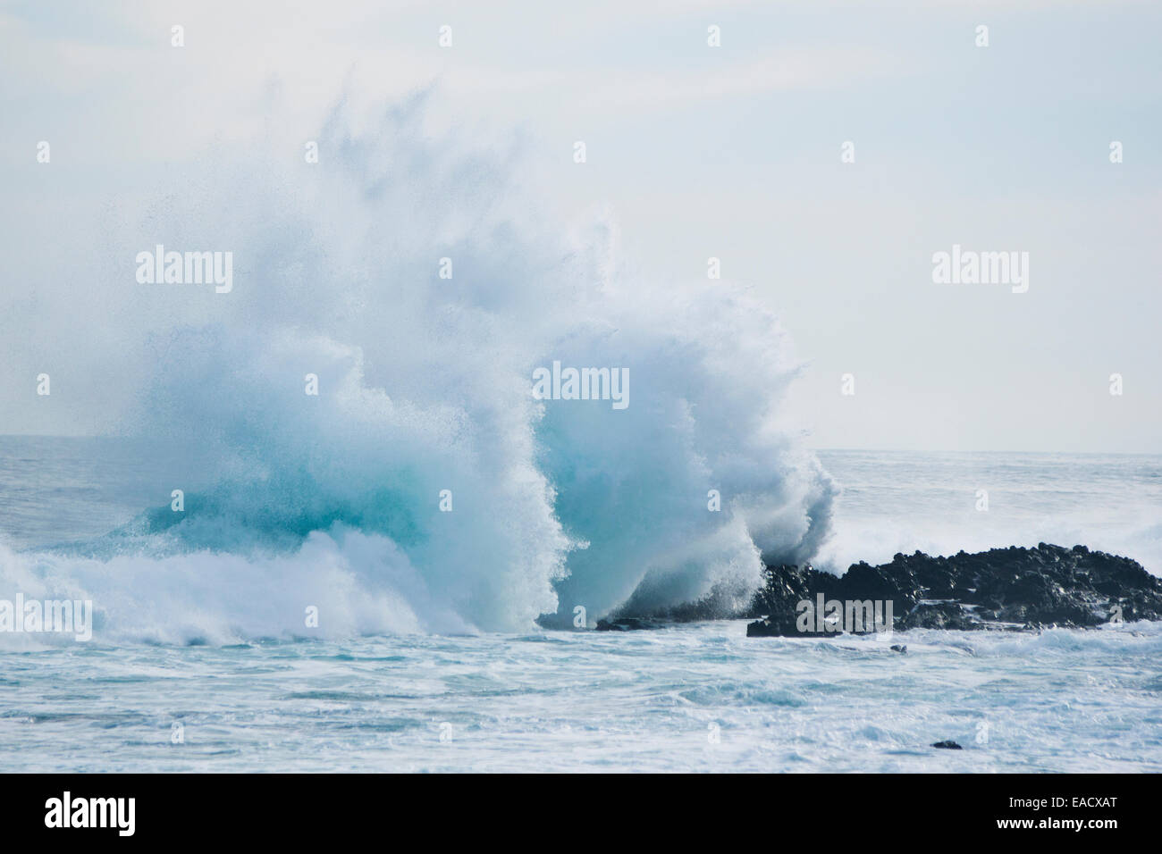 Las olas que rompen en la orilla, Tsitsikamma, Eastern Cape, Sudáfrica Foto de stock