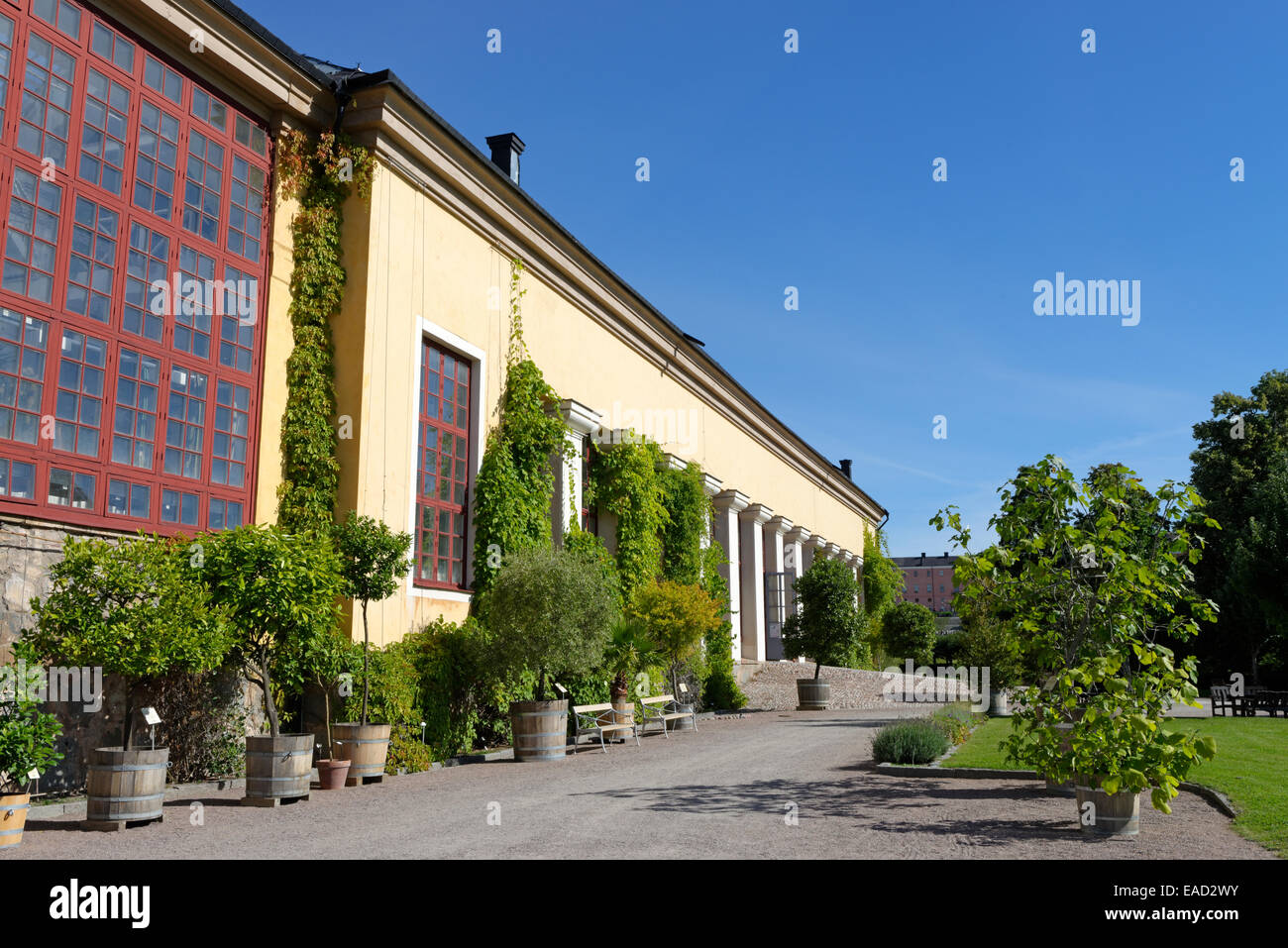 Lineo Jardín o Linnaeus' Jardín, jardín botánico de la universidad con el Orangery, Uppsala, Uppsala, Suecia Condado Foto de stock
