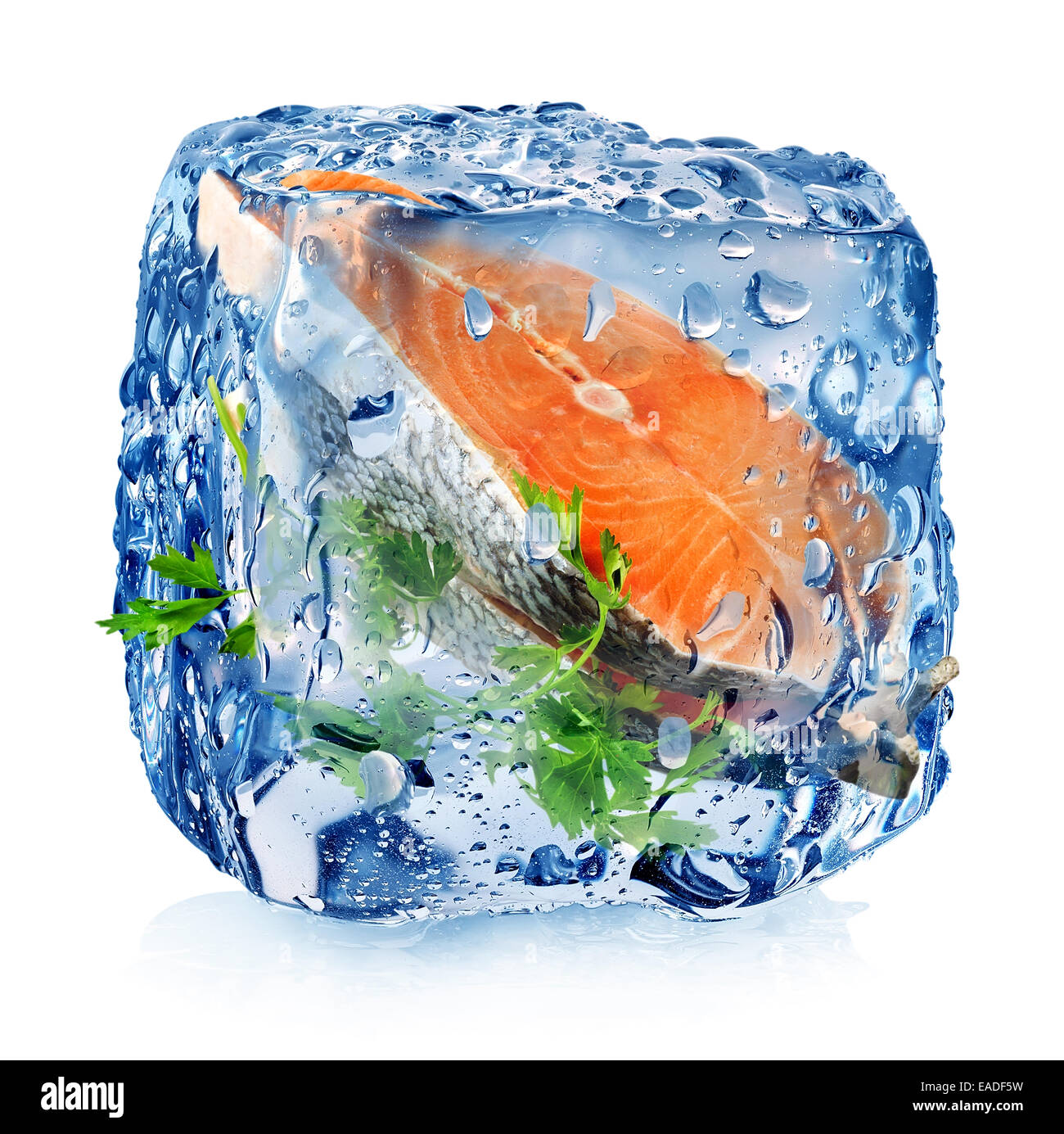 Filete de pescado en cubos de hielo aislado en blanco Foto de stock