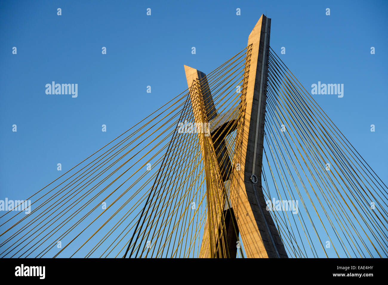 Detalle de la Octávio Frias de Oliveira, puente colgante, el Morumbi, Sao Paulo, Sao Paulo, Brasil Foto de stock