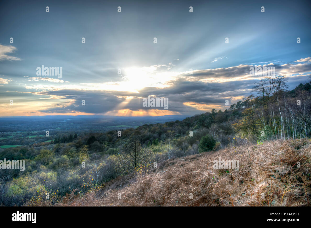 Atardecer de otoño a través de la North Downs, cerca de Leith Hill, Surrey, Reino Unido Foto de stock