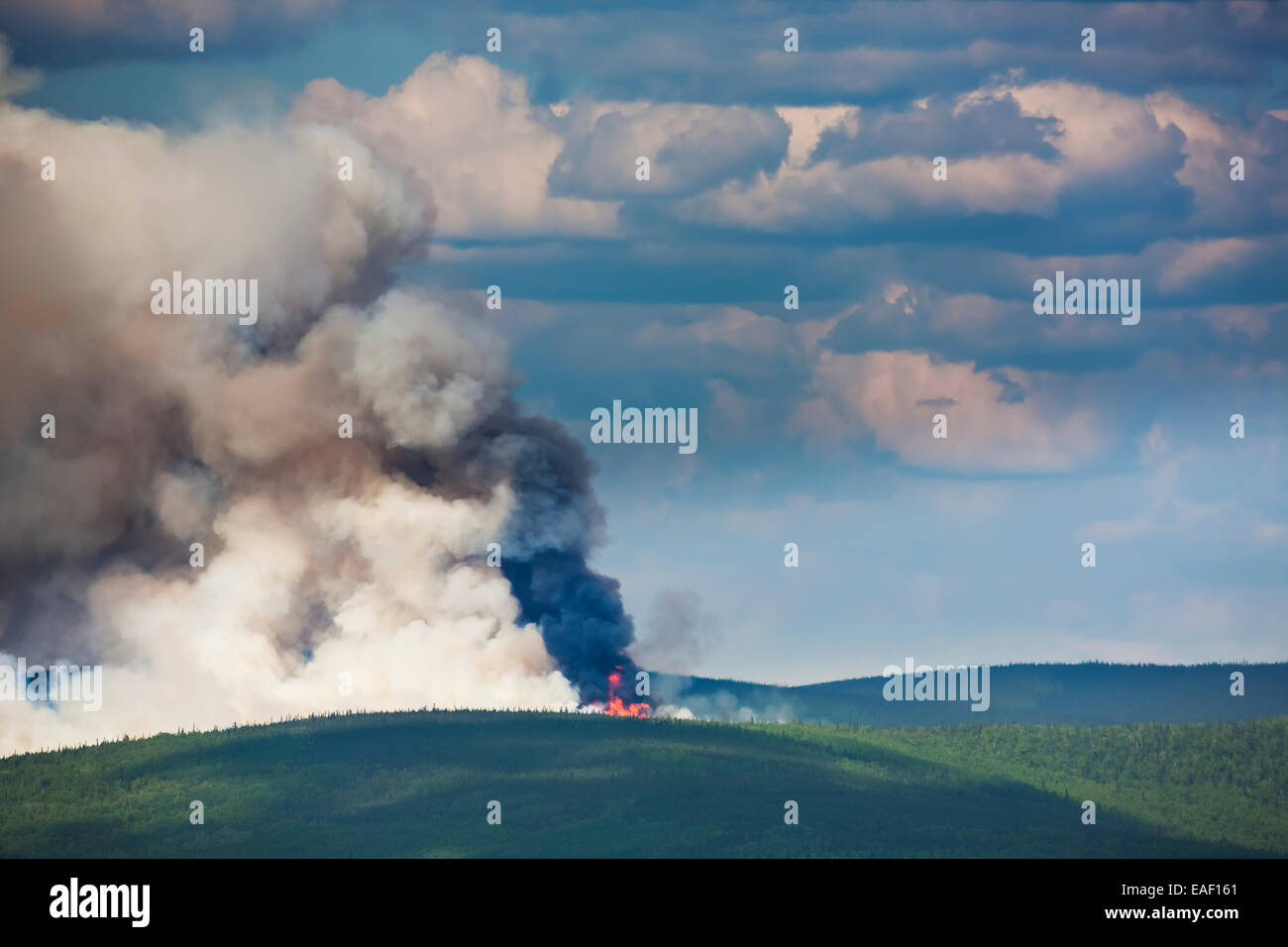 El humo,destrucción,Alaska,Bosque,Incendios Forestales Foto de stock