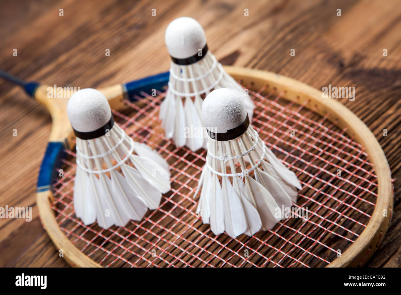 Un juego de badminton. Paleta y la shuttlecock. Foto de Estudio Fotografía  de stock - Alamy