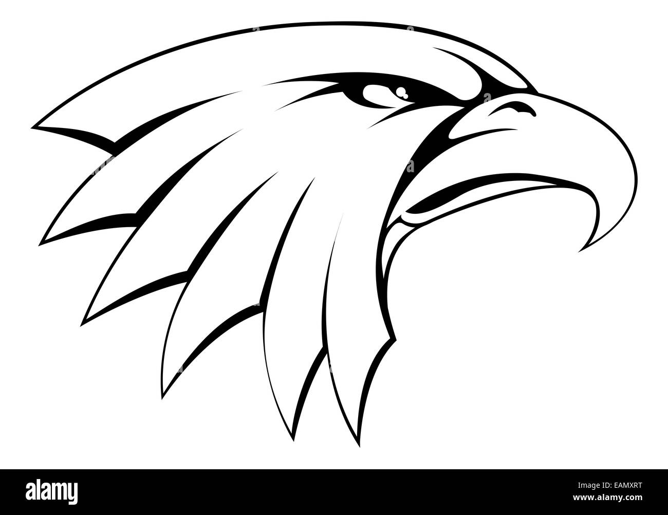 Orgulloso de ser un poderoso icono busca el águila calva cabeza Fotografía  de stock - Alamy