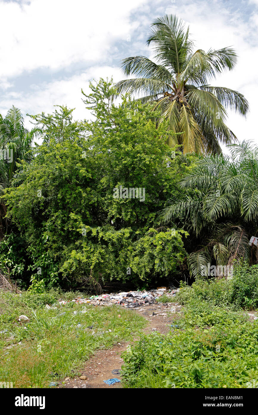Vertedero entre árboles y palmeras en África Foto de stock