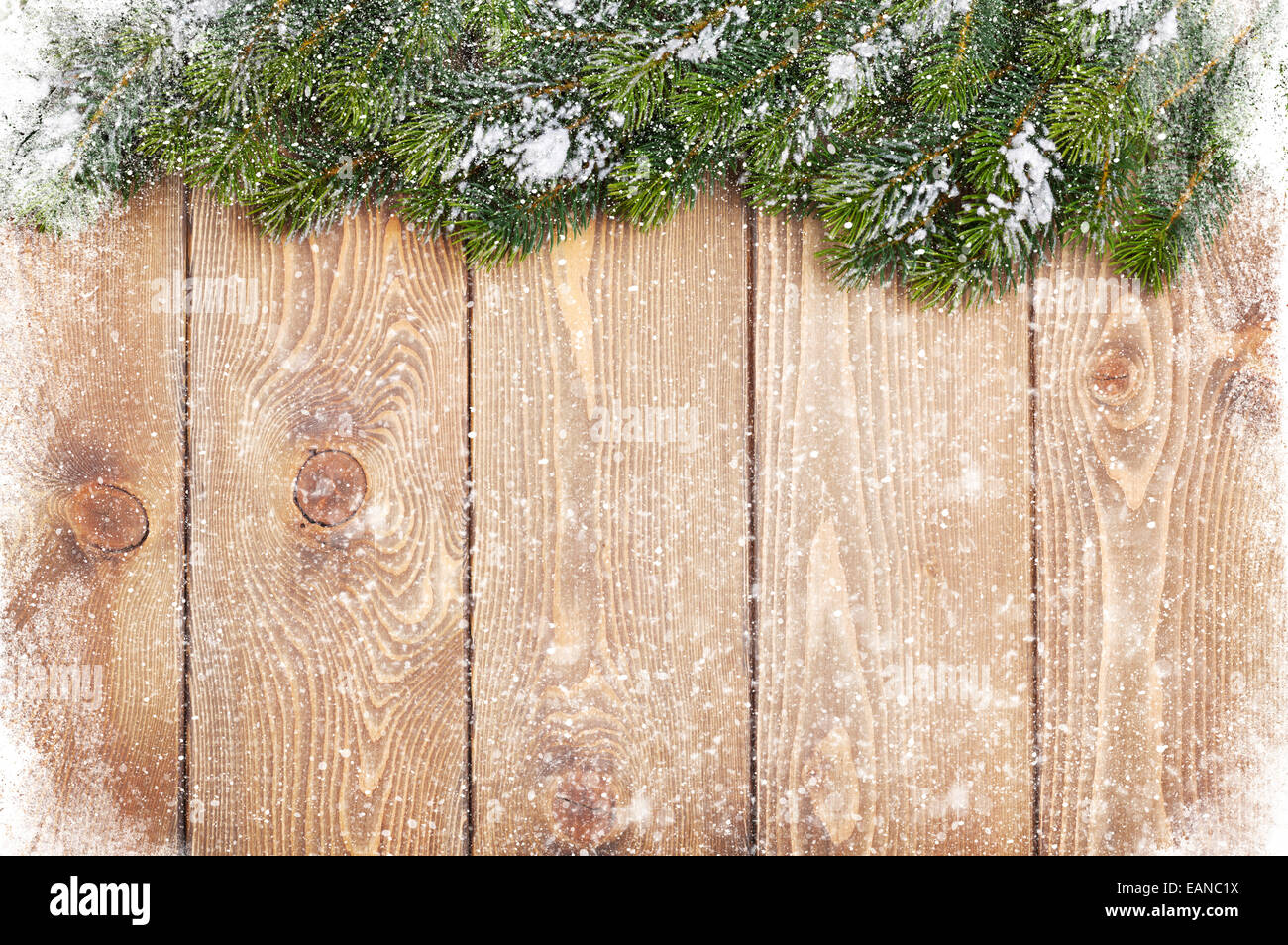 Textura de madera vieja con nieve y firtree Christmas background Foto de stock