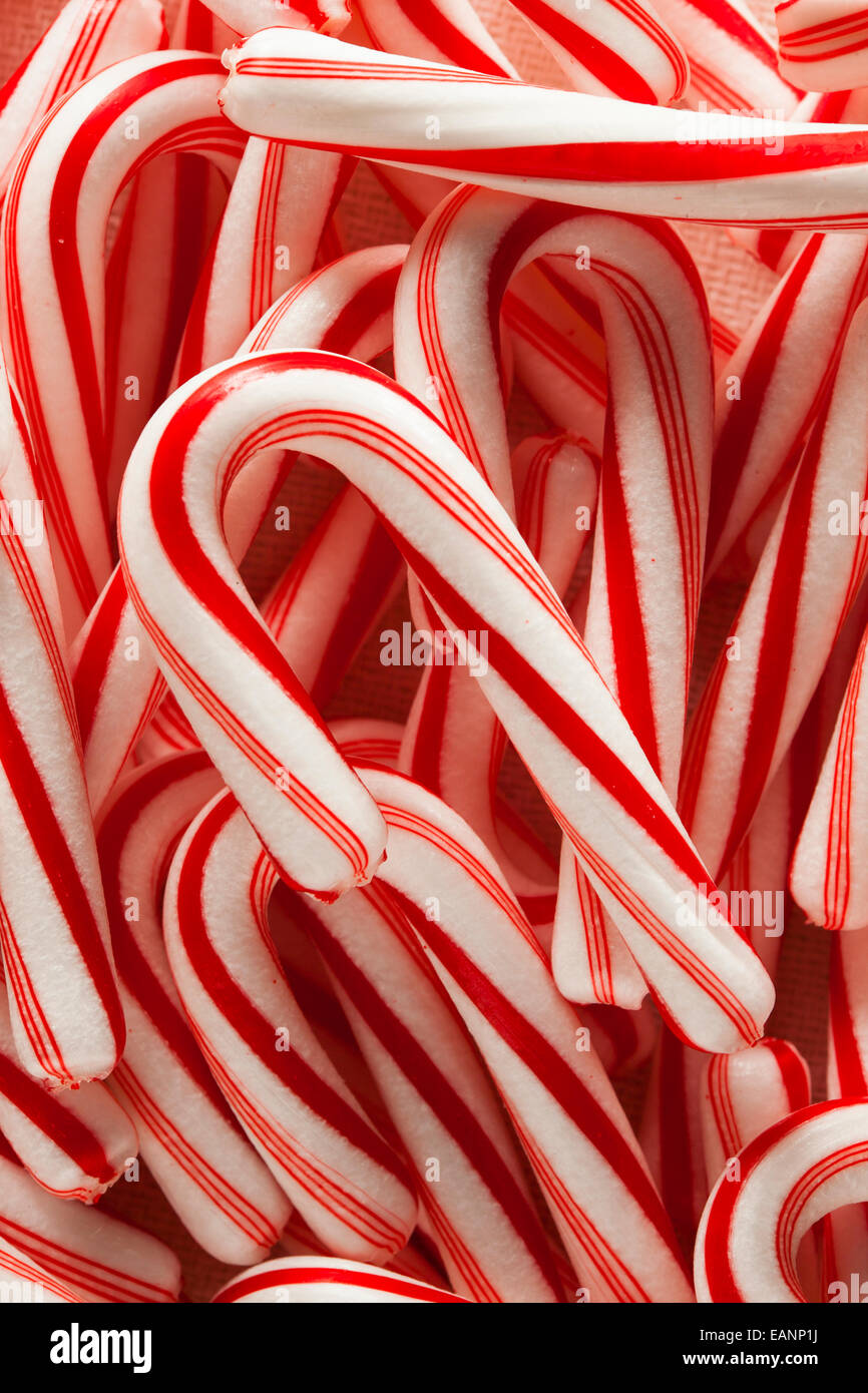Rojo y Blanco Mini bastones de caramelo para Navidad Foto de stock