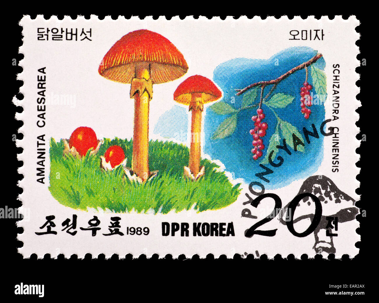 Sello de Corea del Norte, representando el Caesar's setas (Amanita Cesarea) Foto de stock