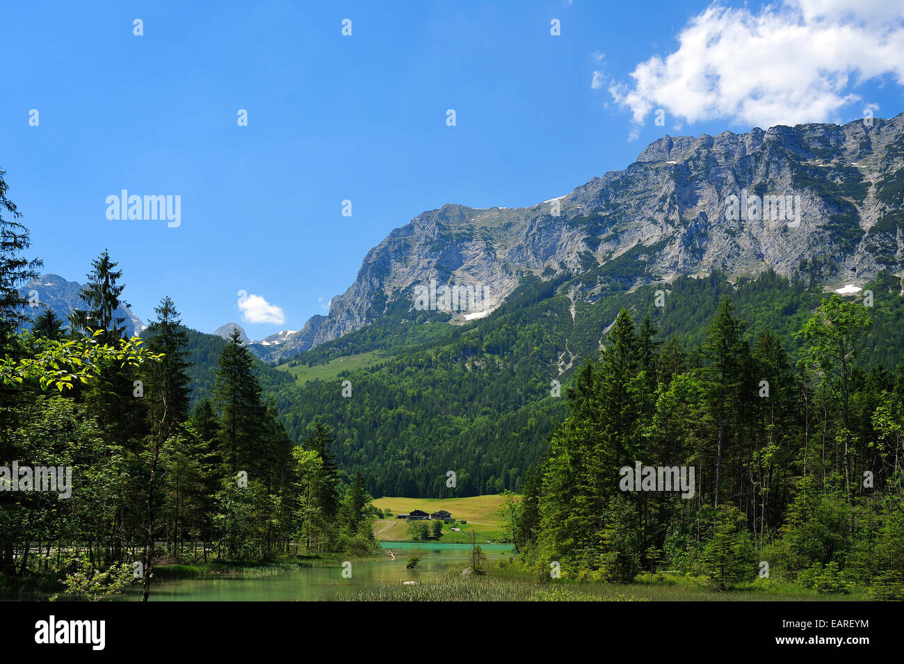Reiter Alpes, el lago Hintersee verde brillante en la parte delantera, Ramsau bei Berchtesgaden, distrito de Berchtesgadener Land Foto de stock