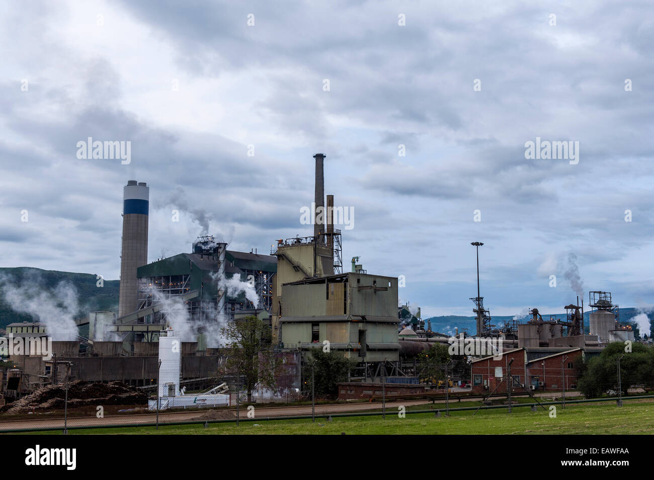Humo y vapor eructo contaminación de chimeneas en una fábrica de papel. Foto de stock