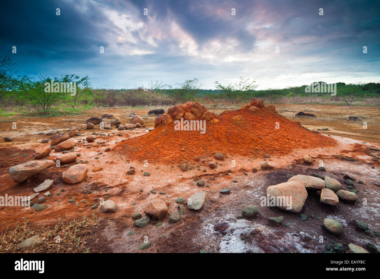 Paisaje de Panamá con suelo erosionado en el Parque Nacional Sarigua (desierto), provincia de Herrera, península de Azuero, República de Panamá, Centroamérica. Foto de stock