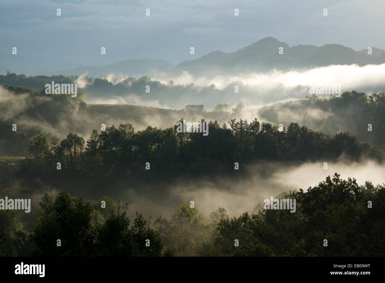 Misty mañana cerca de la provincia de Treviso campea en el norte de Italia Foto de stock