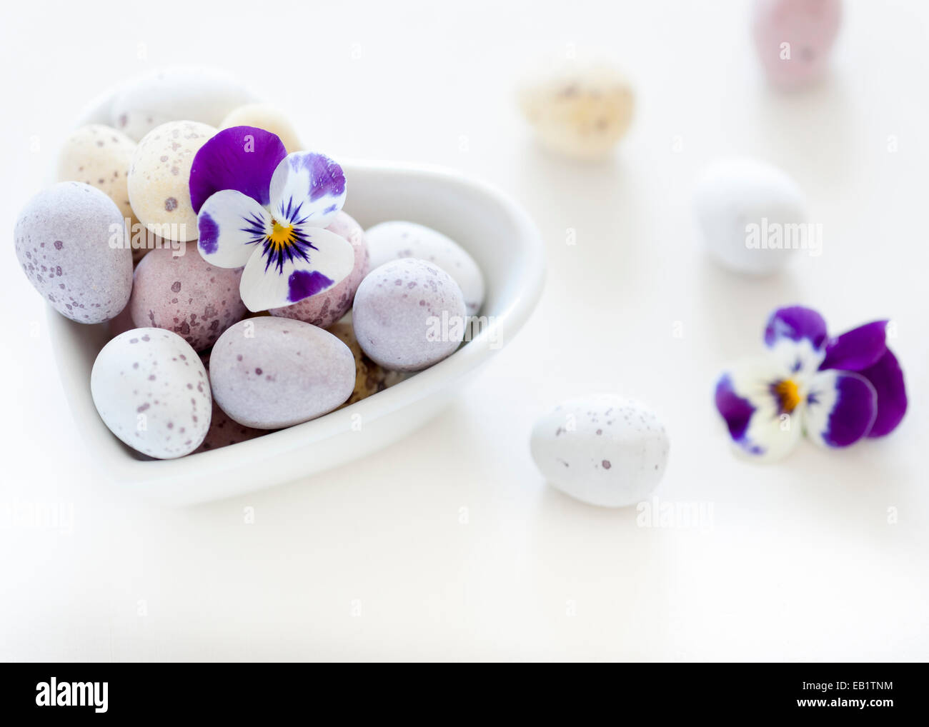 Colores pastel mini los huevos en un recipiente con forma de corazón blanco viola pansy sobre un telón de fondo borroso blanco Foto de stock