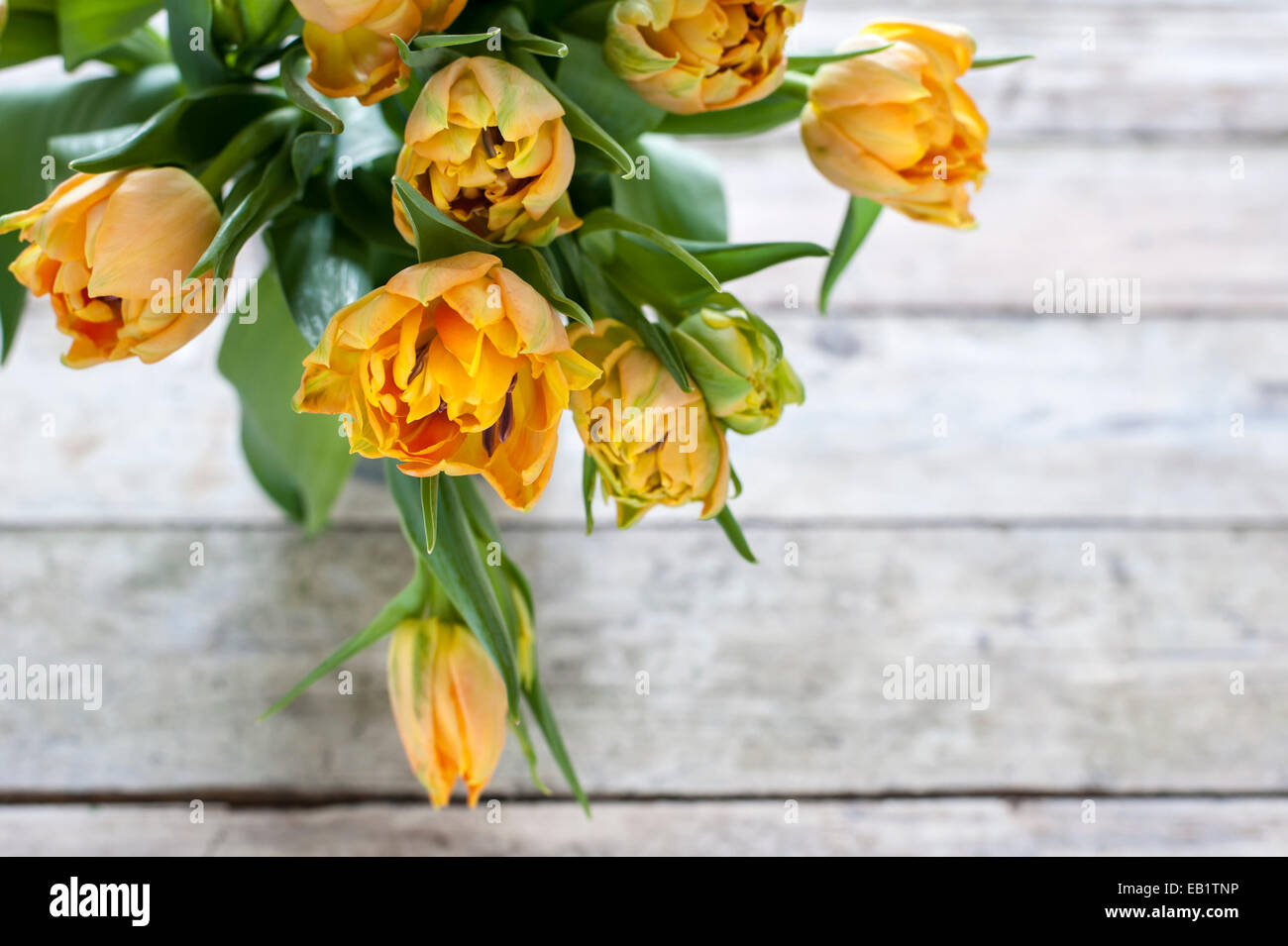 Ramo de tulipanes loro amarillo en un jarrón sobre la mesa de madera rústica Foto de stock