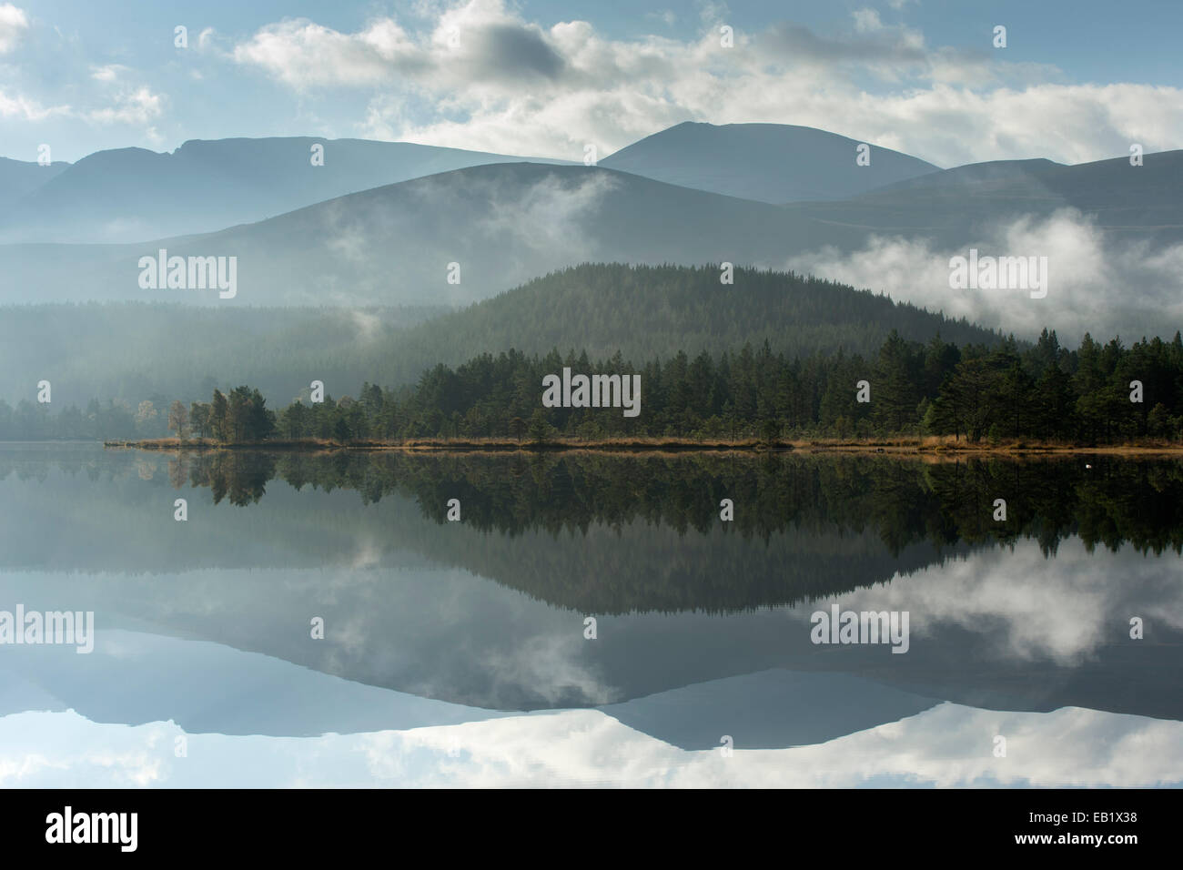 Loch Morlich y bosque Rothiemurchus, Parque Nacional de Cairngorms, Escocia Foto de stock