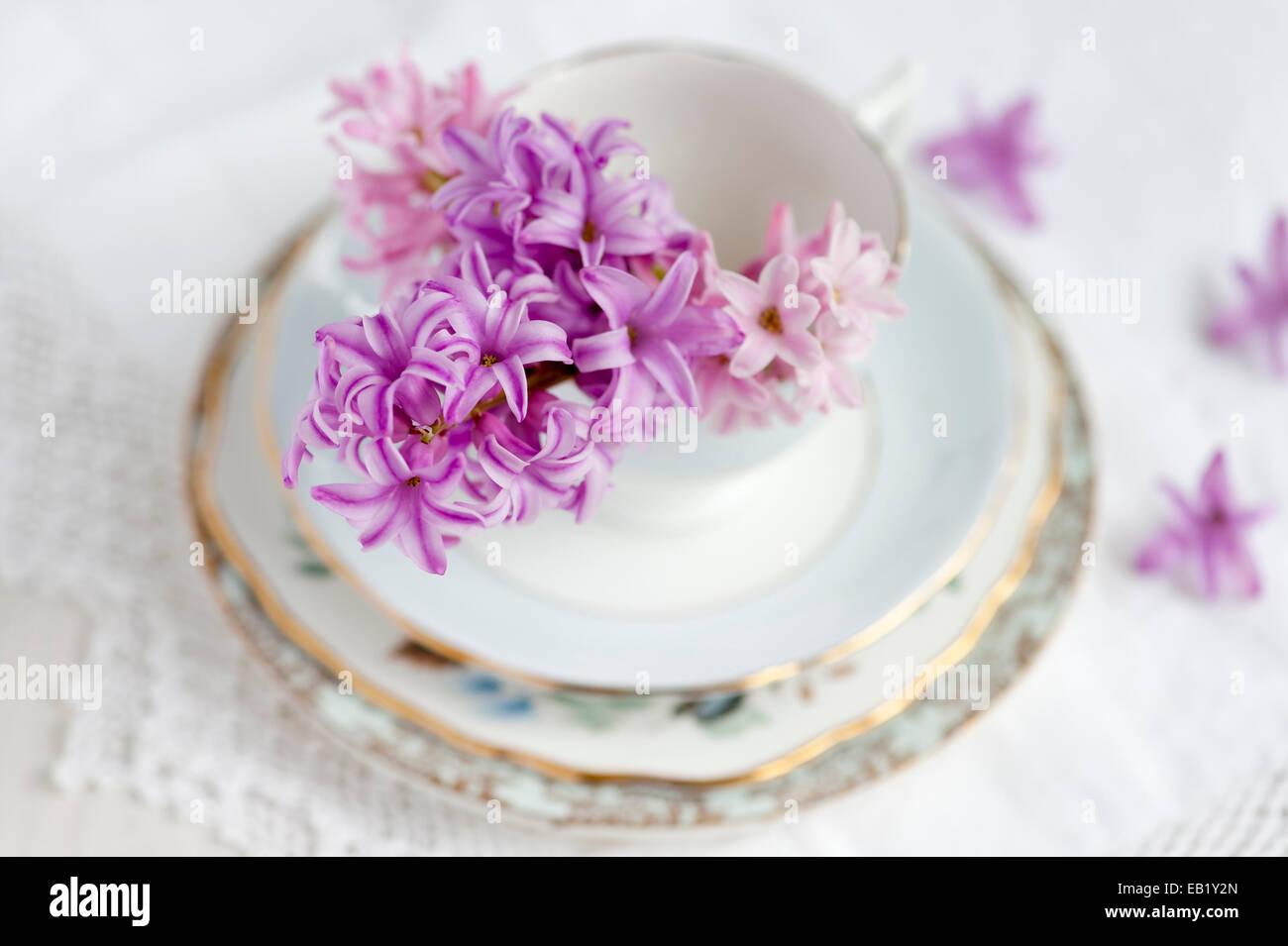 Posy de jacintos en vintage vaso de Lacy mantel, con telón de fondo blanco, placas vintage Foto de stock