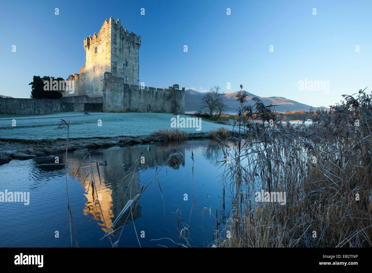 Invierno en el Castillo Ross, Lough Leane, Parque Nacional de Killarney, condado de Kerry, Irlanda. Foto de stock