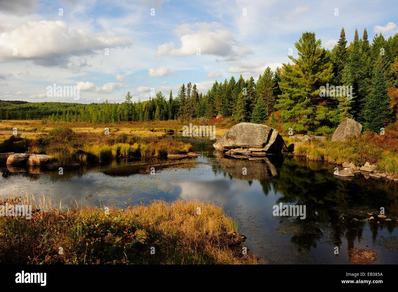 Páramos típico del Escudo Canadiense o Meseta Laurentian con estanques y bosques de coníferas, Algonquin Provincial Park Foto de stock