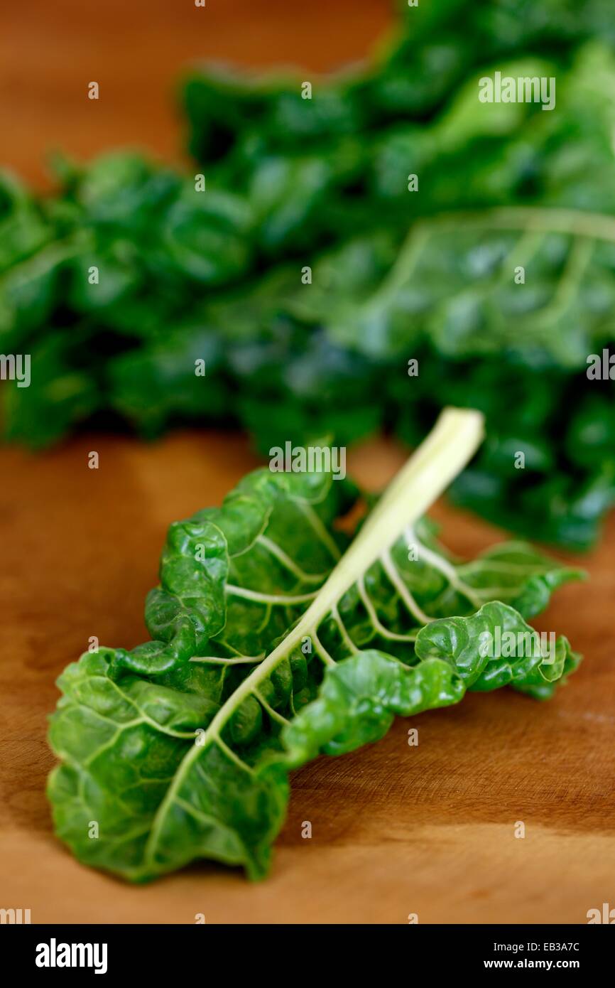 Hoja de lechuga fotografías e imágenes de alta resolución Alamy