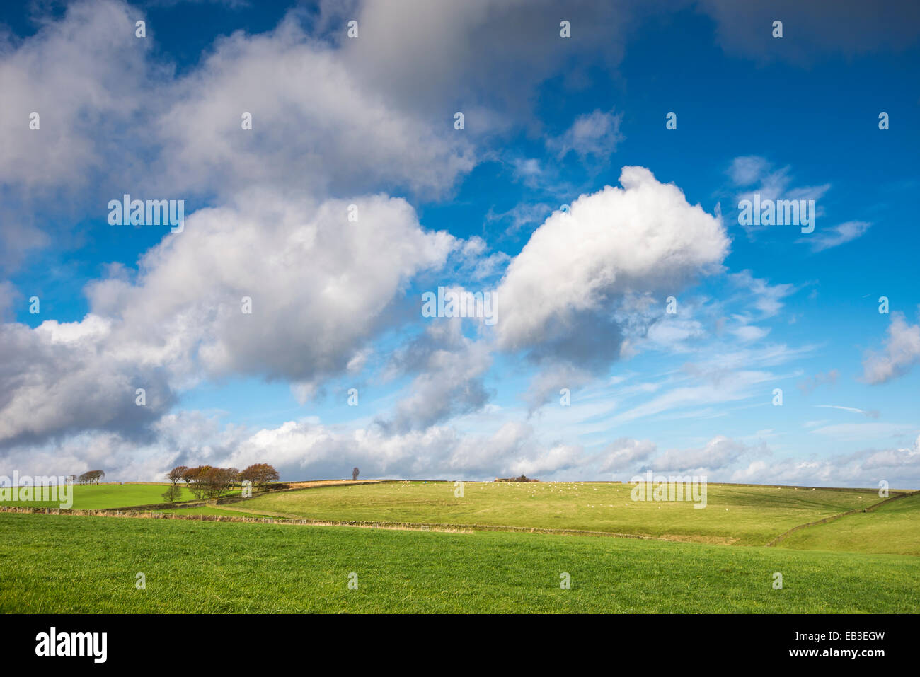 Big Sky con esponjosas nubes flotando sobre verdes campos en un paisaje cerca de West Yorkshire Holmfirth. Foto de stock