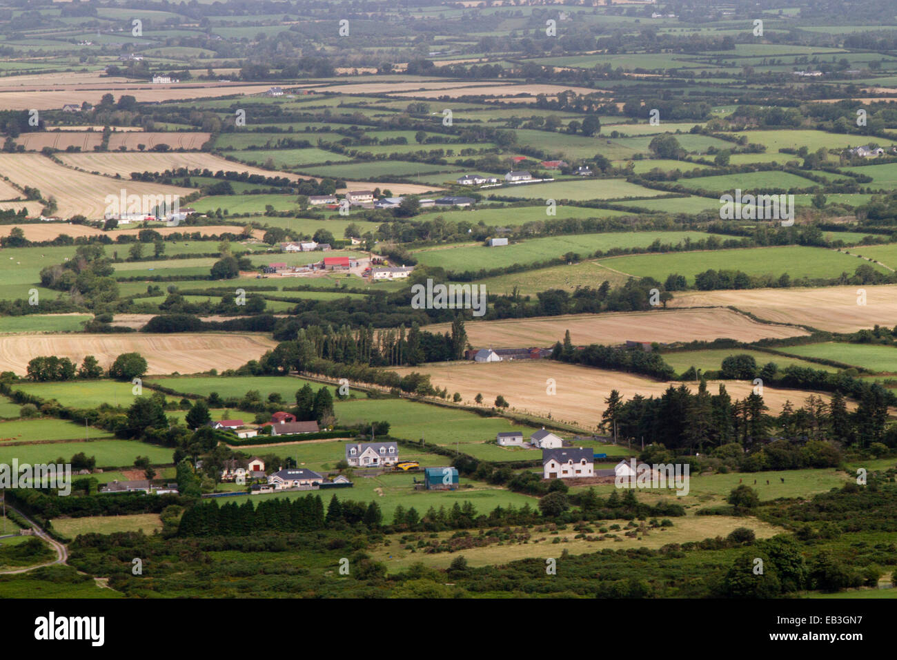 Las pequeñas granjas en los ricos valles del sureste de Irlanda Foto de stock
