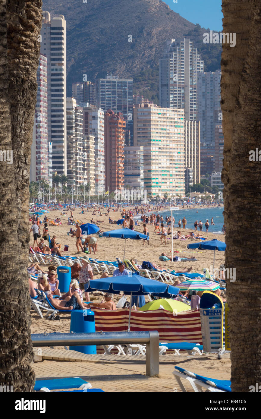 La playa de Benidorm, Alicante, Costa Blanca, España. todos los grupos de edad mayores jubilados sol oaps pasear paseos relajantes cerca del mar Foto de stock