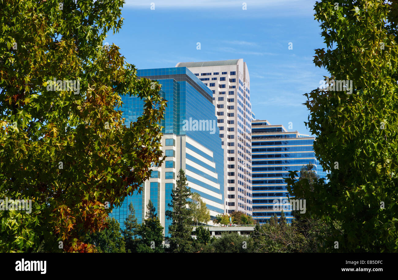 Sacramento gigantescos edificios de oficina visto desde entre los árboles Foto de stock