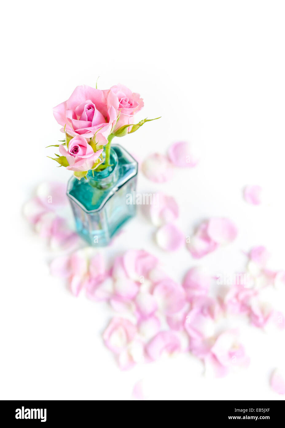 Todavía la vida creativa vintage botella de vidrio azul y rosa con pétalos de rosas y el telón de fondo blanco Foto de stock