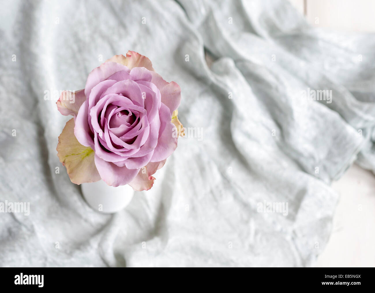 Solo Rosa Lila en un jarrón blanco gris con tejido de seda en el fondo Foto de stock