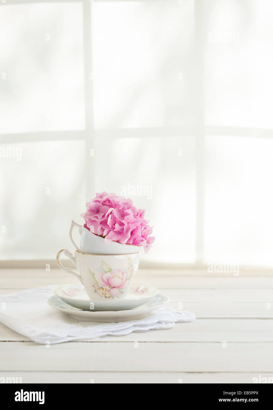 Una rosa hortensia cabeza en vintage tazas de té en una mesa junto a la ventana, verter en la luz, tonos sol y sombra del marco de la ventana. Foto de stock