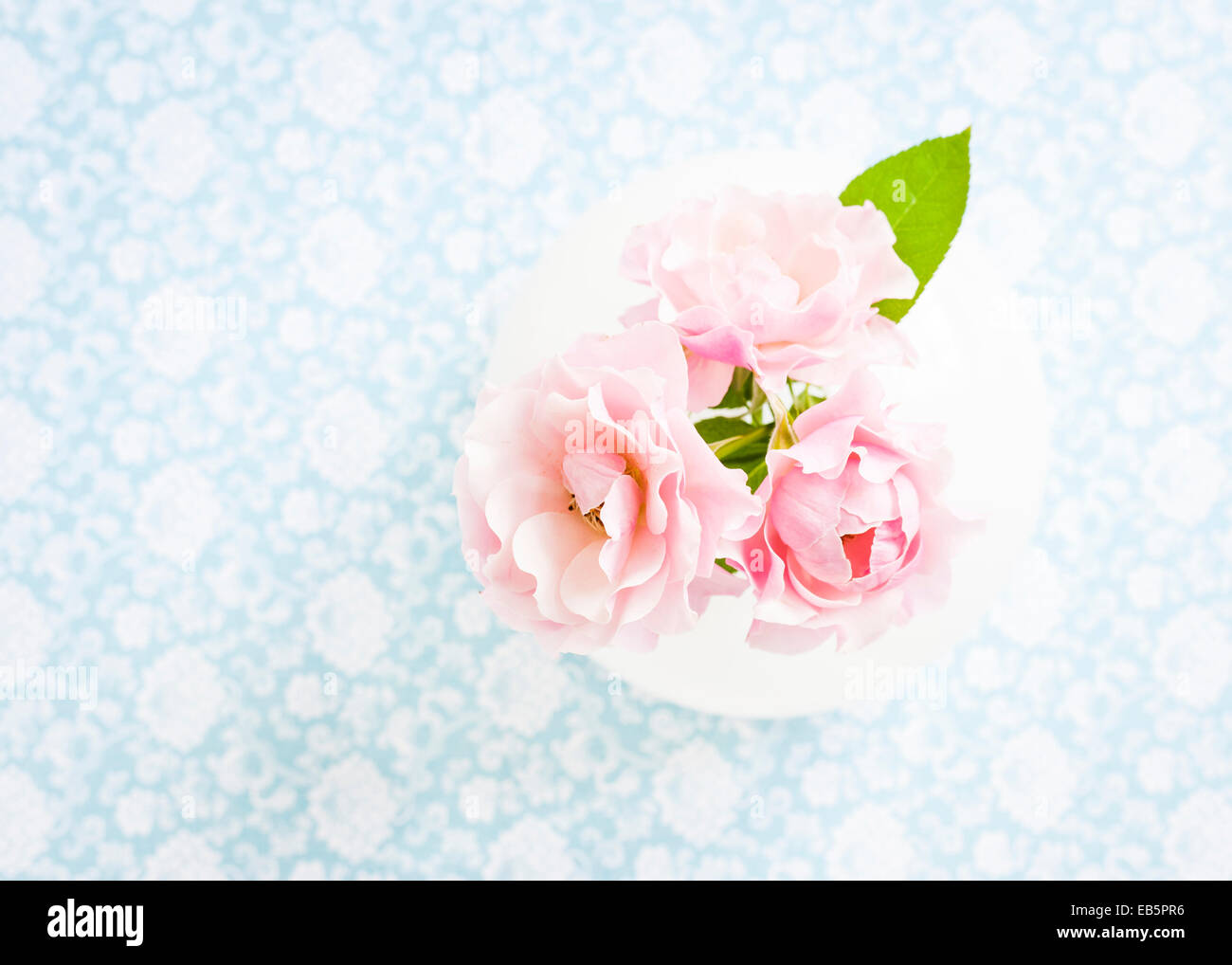 Tres rosas spray rosas en un jarrón blanco redondo sobre un telón de fondo floral blanco y azul Foto de stock