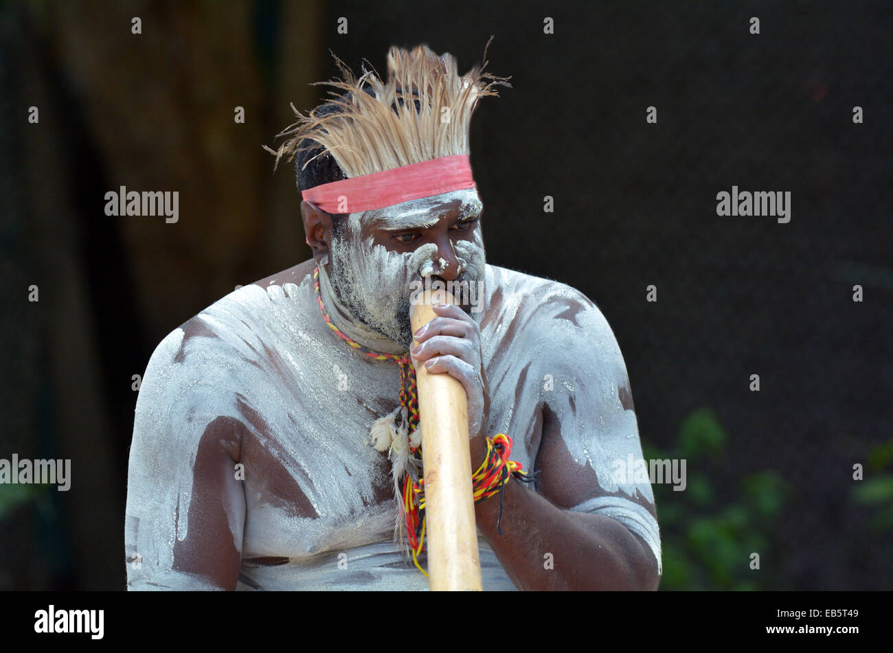 Hombre Aborigen Didgeridoo Fotos e Imágenes de stock Alamy