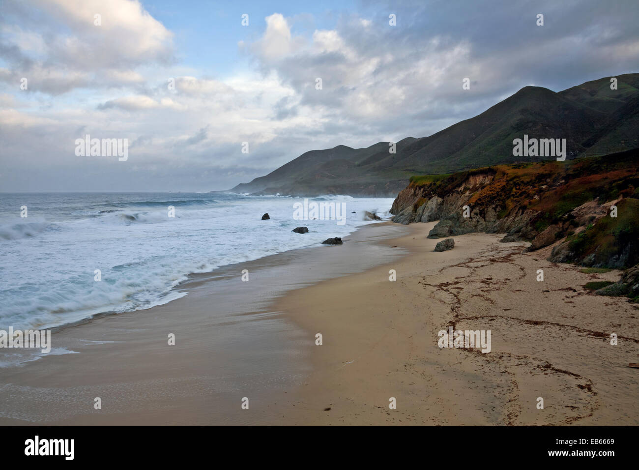 CA02432-00...CALIFORNIA - Stormy mañana en Garrapata State Park en la costa de Big Sur. Foto de stock