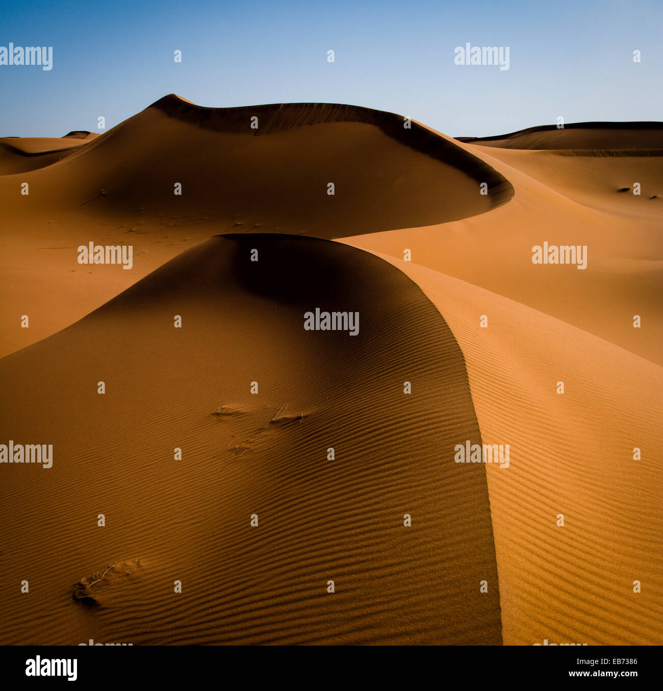 Las dunas de arena del desierto de Sahara Erg ZHAR MARRUECOS AFRICA Foto de stock