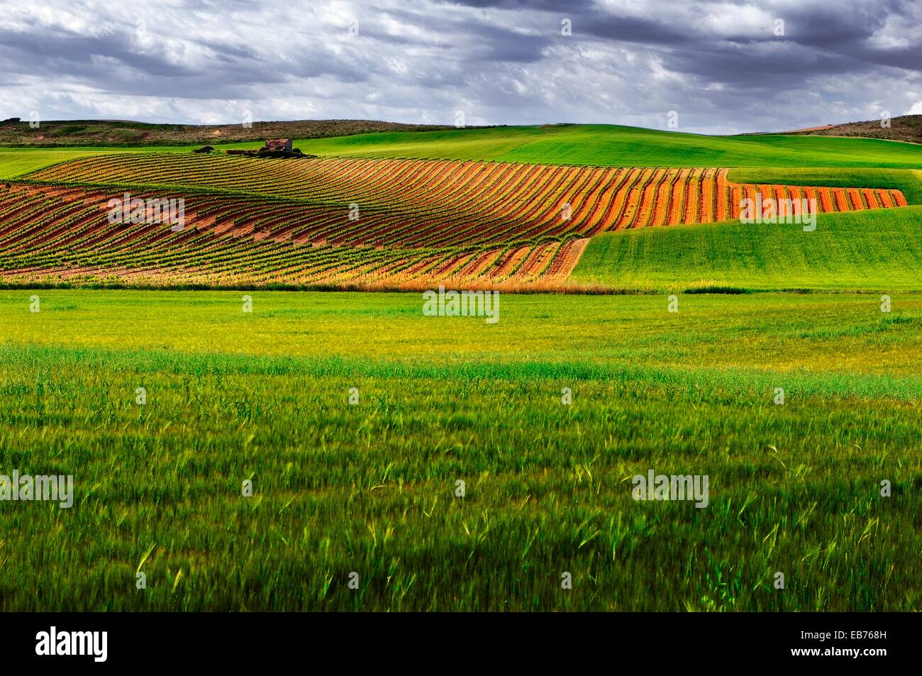 San Bartolome de Arellano, Arroniz, Navarra, España Foto de stock