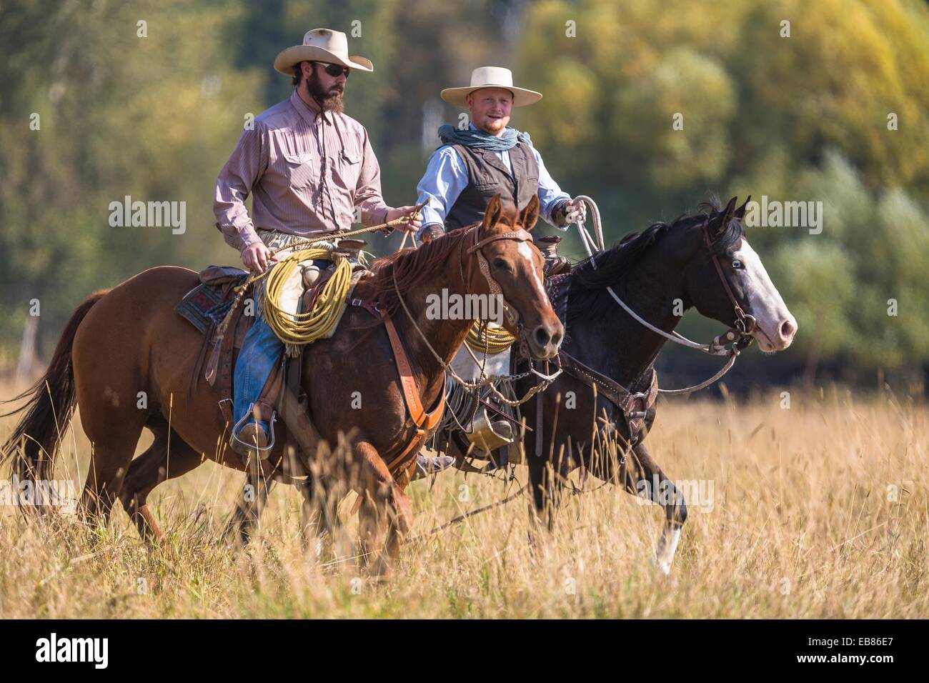 Dos wranglers vaqueros a caballo, Montana, EE.UU Fotografía de stock - Alamy