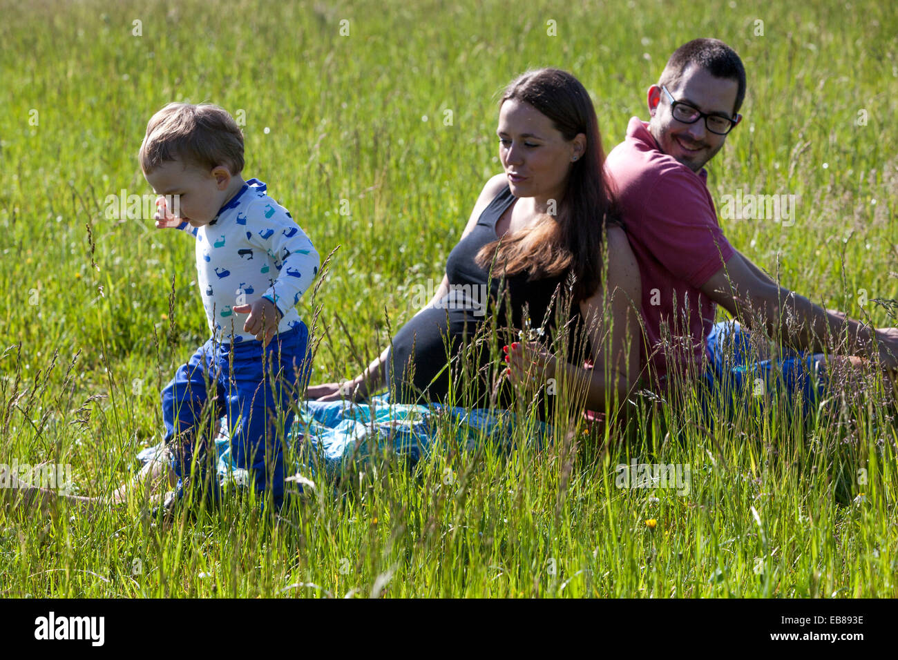 Una familia feliz, una mujer embarazada con su marido y su niño a pasar tiempo juntos y jugar a juegos en una pradera de verano Foto de stock