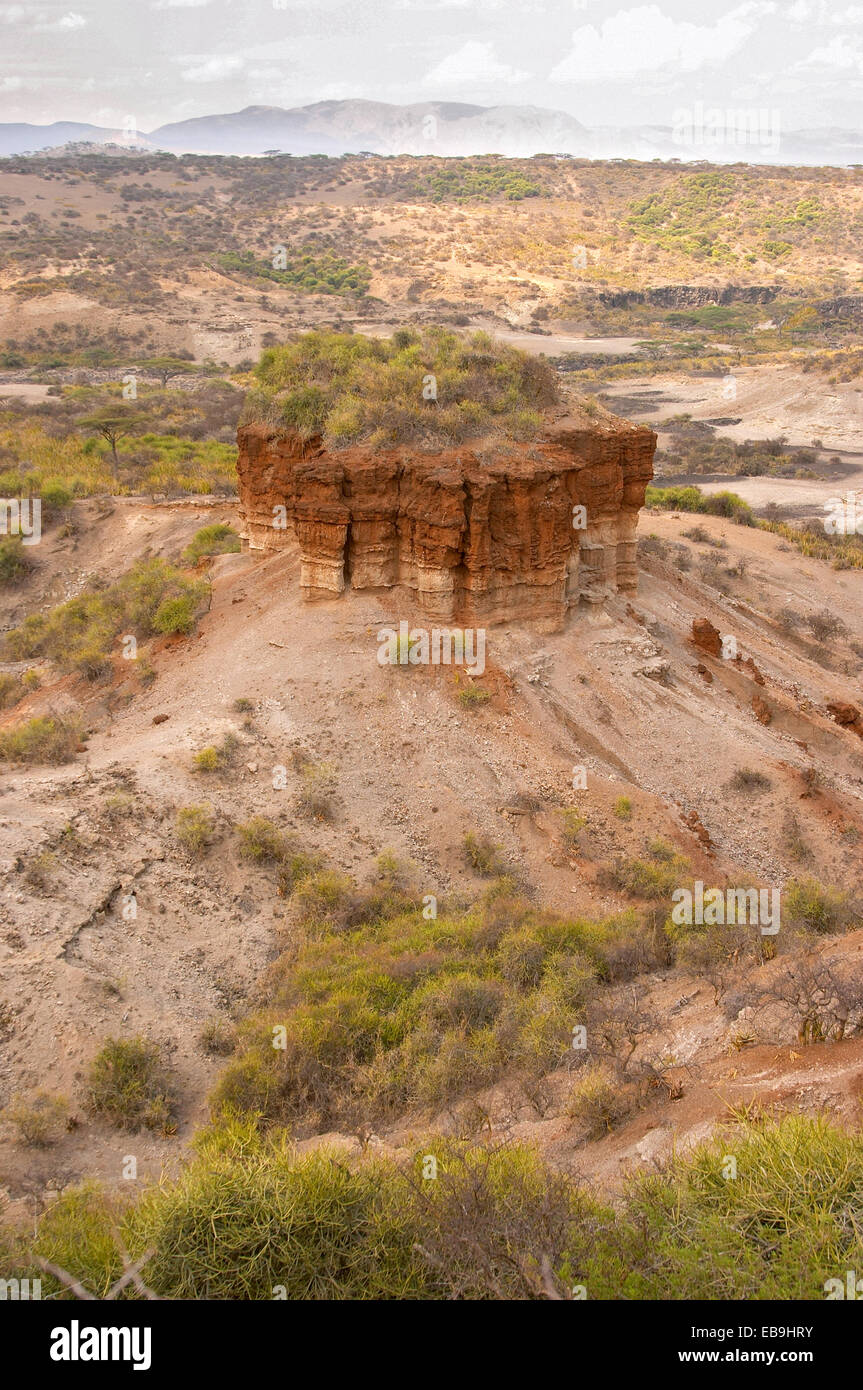 Garganta de Olduvai Foto de stock