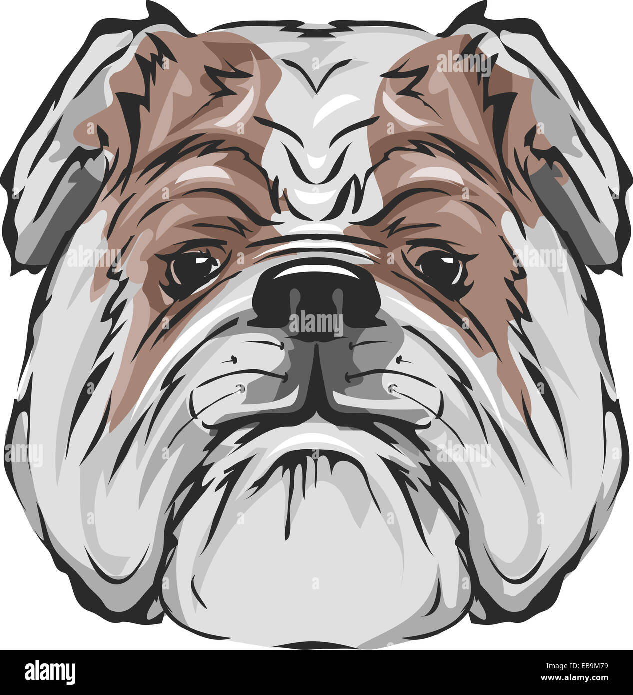 perro boxer cruzado con bulldog clipart