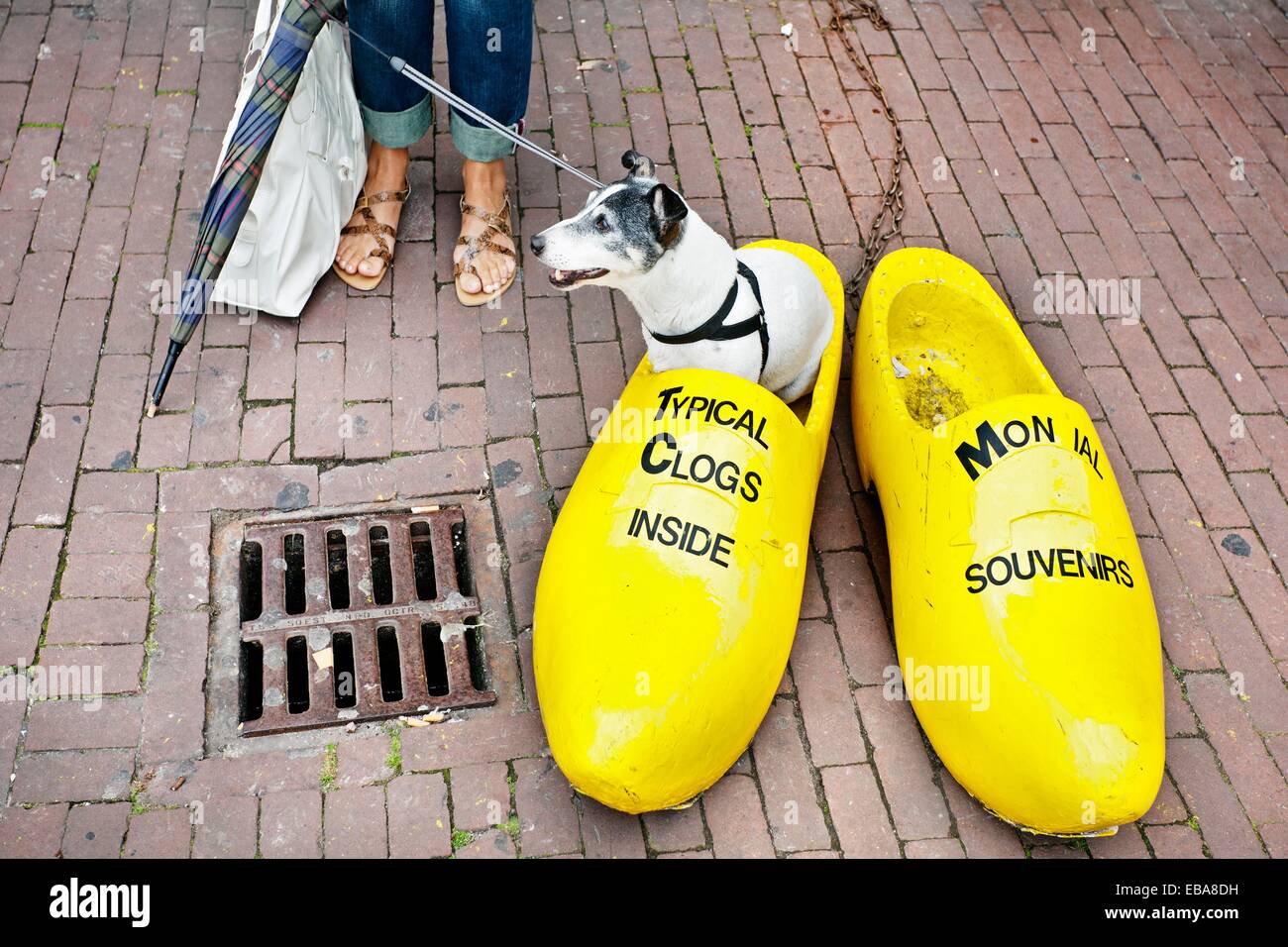 Zuecos amarillos Amsterdam Pa ses Bajos Fotograf a de stock Alamy