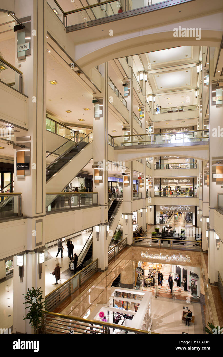 Mall Vertical + Bloomingdales, en 900 N. Michigan, Chicago, Illinois, EE.UU  Fotografía de stock - Alamy