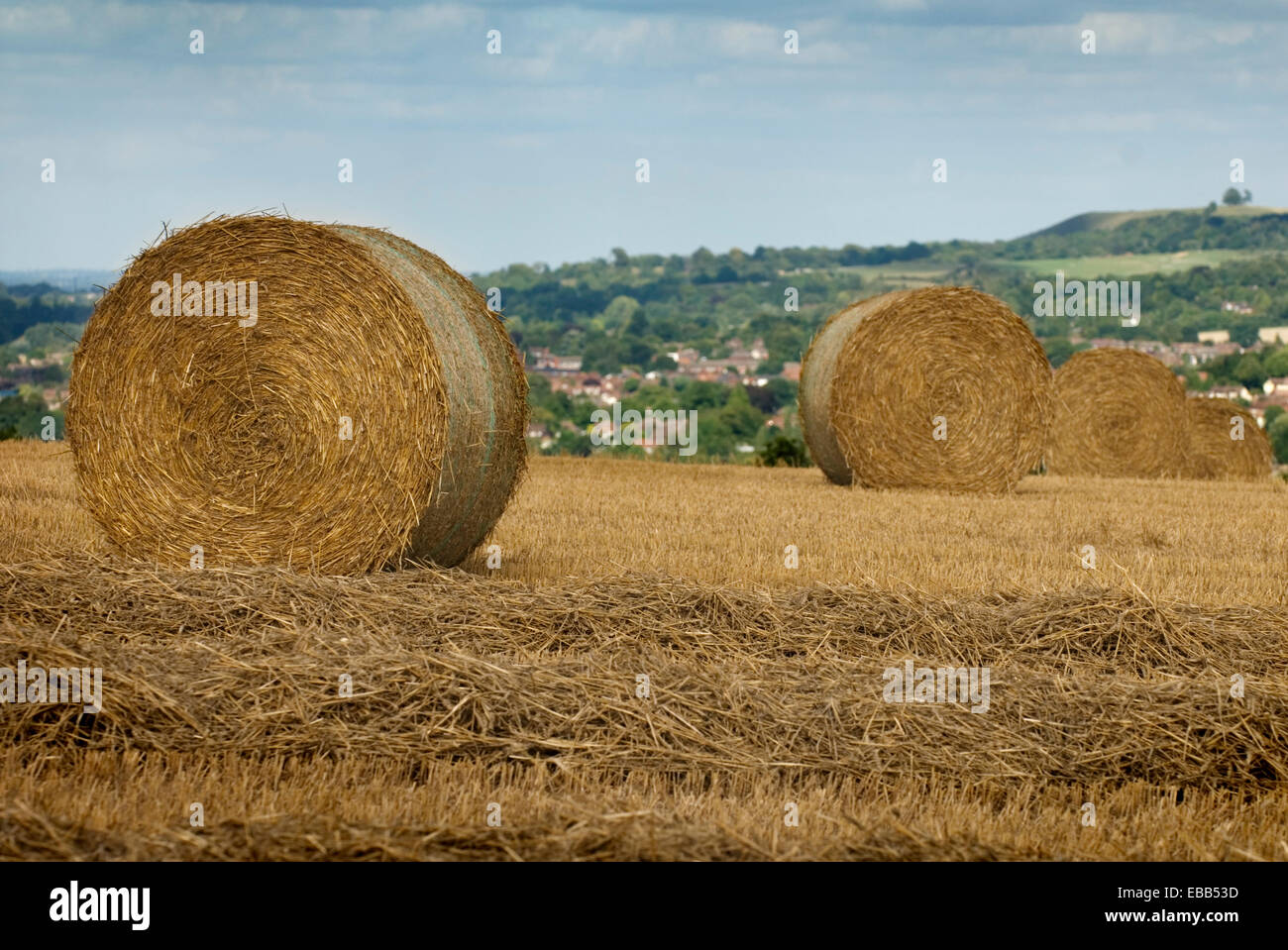 Gran Ronda los fardos de heno en el campo Foto de stock
