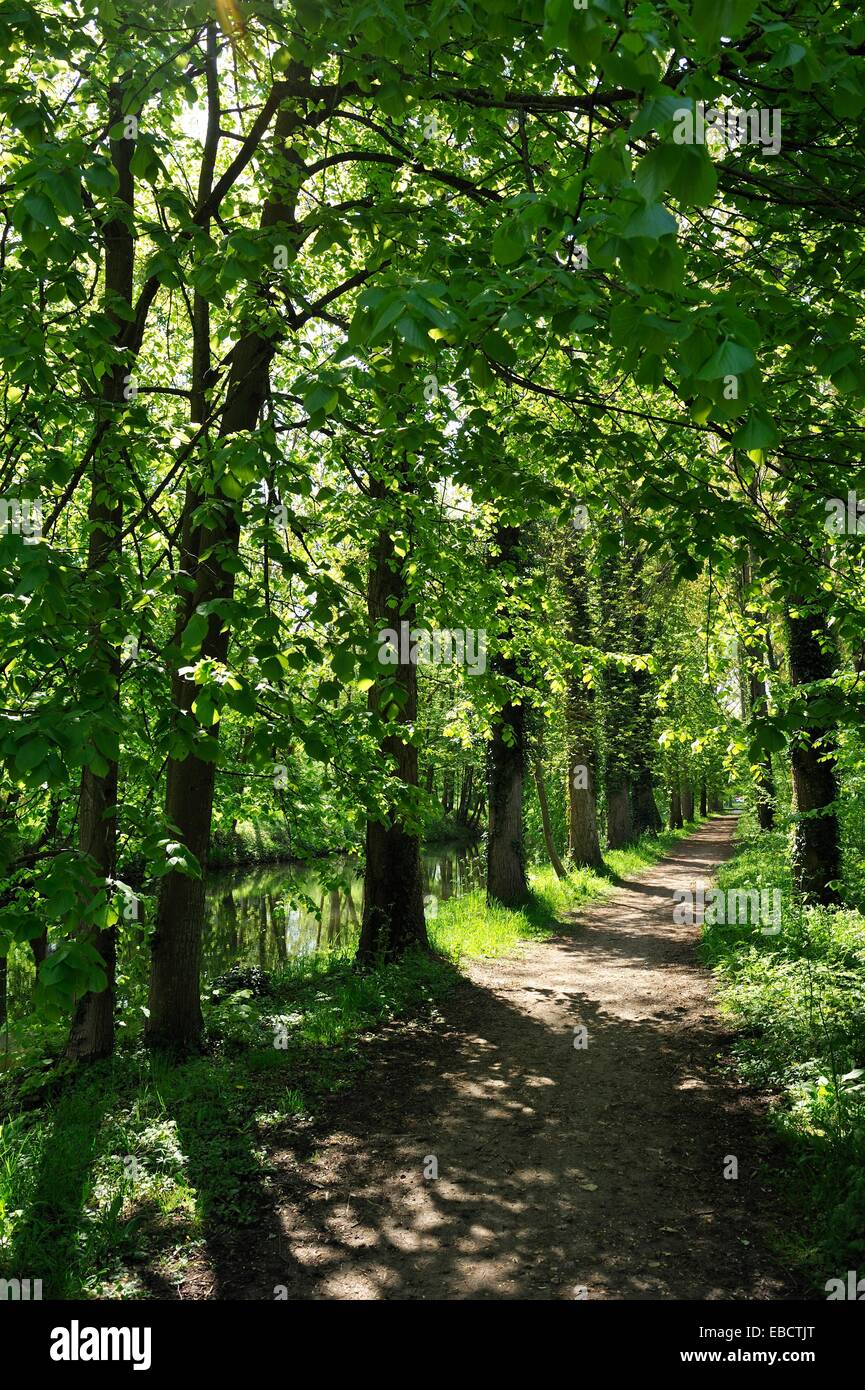 Sendero a orillas del río Eure, Maintenon, Eure-et-Loir departamento, región Centro, Francia, Europa. Foto de stock