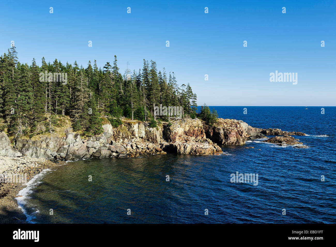 Costa rocosa, el Parque Nacional de Acadia, la isla de Mount Desert, Maine, EE.UU. Foto de stock