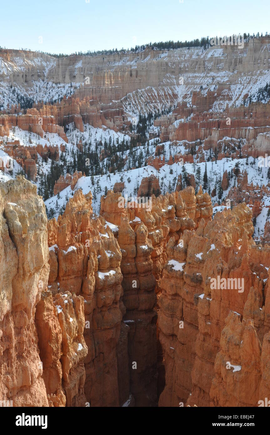 El Parque Nacional de Bryce Canyon, Utah. Foto de stock