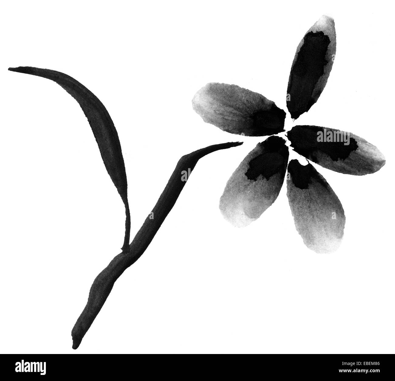 Flores chinas Imágenes de stock en blanco y negro - Alamy