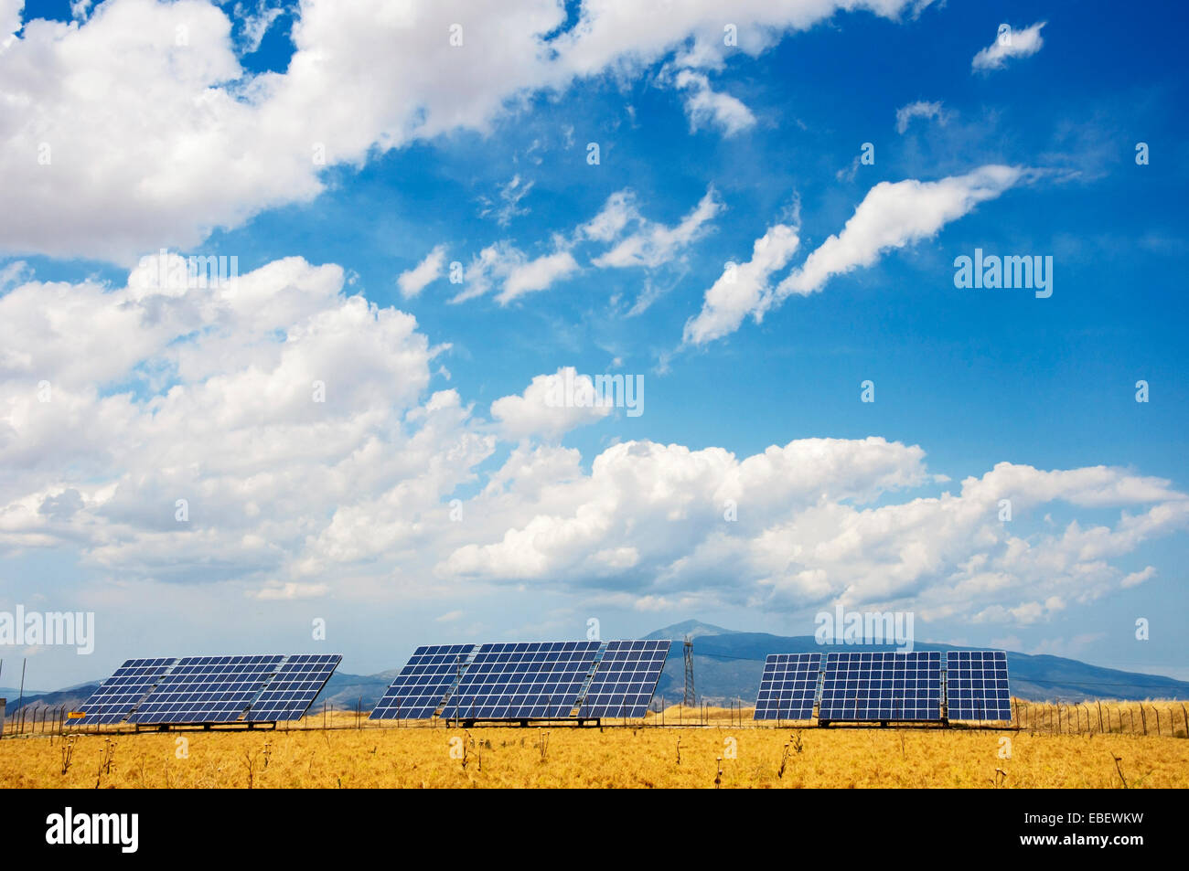 Los módulos de energía solar en un campo de maíz en la región de Tesalia, Grecia Foto de stock