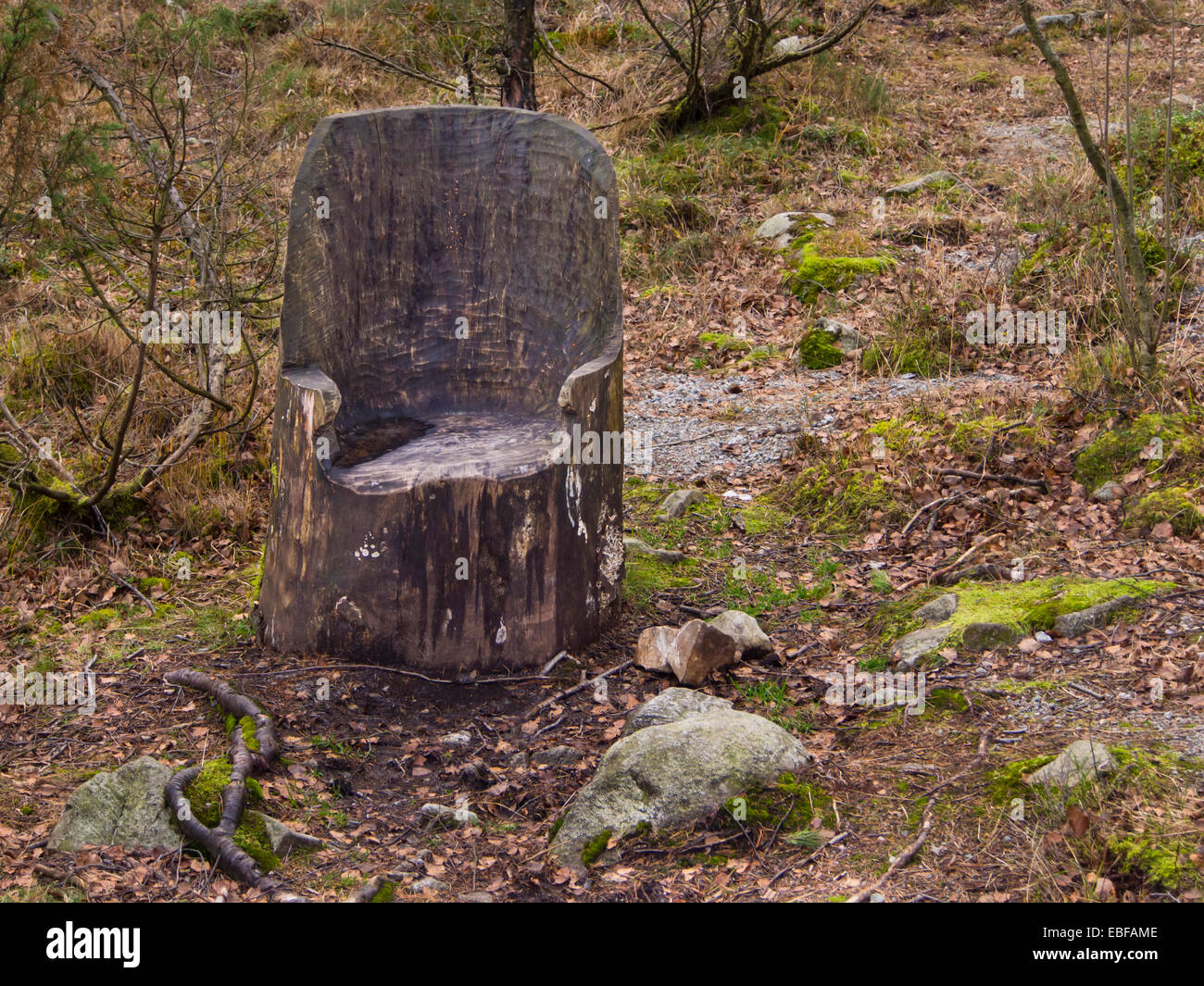 Tocón de árbol silla firmemente arraigado a la tierra y listo para los cansados excursionistas en los bosques alrededor de Stavanger, Noruega Foto de stock