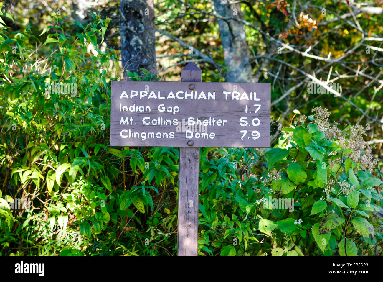 El Appalachian Trail firmar en el Great Smoky Mountains National Park Foto de stock